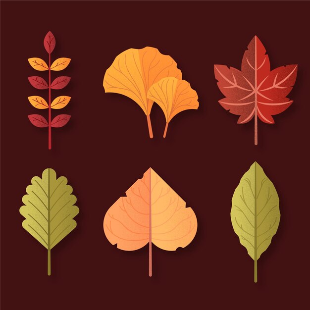 Colección de hojas de otoño de diseño plano