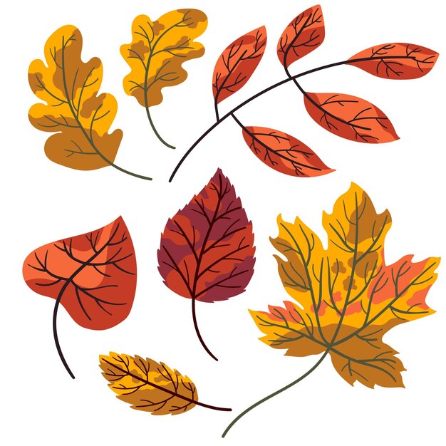 Colección de hojas de otoño en diseño plano