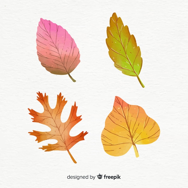 Vector gratuito colección de hojas de otoño estilo acuarela.