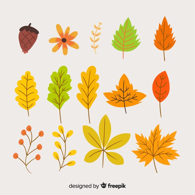 Colección de hojas de otoño estilo dibujado a mano