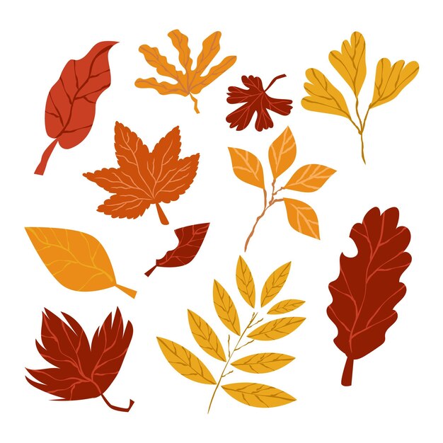 Colección de hojas de otoño de estilo dibujado a mano