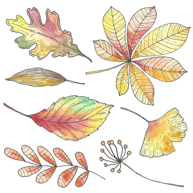 Colección de hojas de otoño de estilo dibujado a mano
