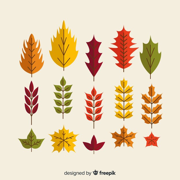 Colección de hojas de otoño estilo plano.