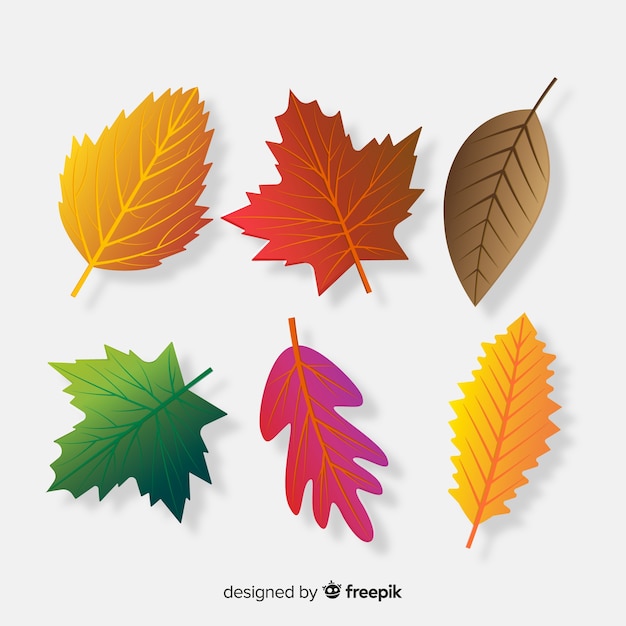 Colección de hojas de otoño estilo realista
