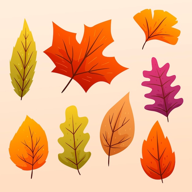 Colección de hojas de otoño gradiente
