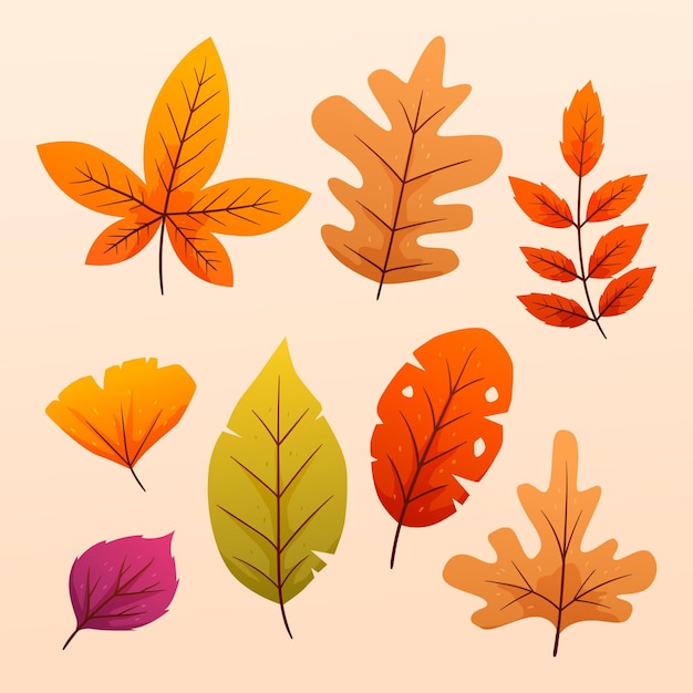 Vector gratuito colección de hojas de otoño gradiente