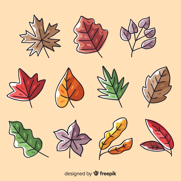 Colección de hojas de otoño planas
