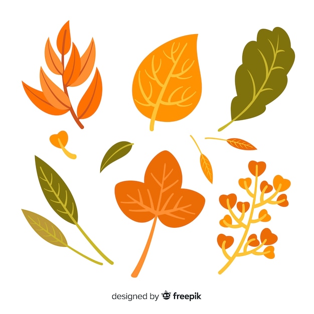 Vector gratuito colección de hojas de otoño planas