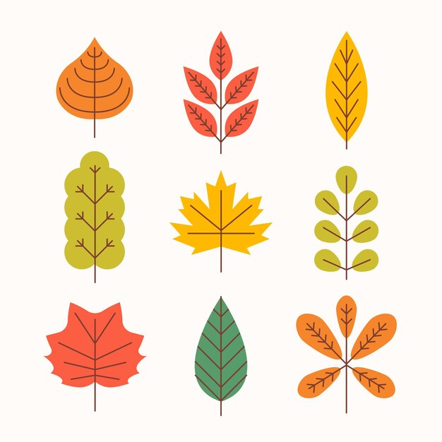 Colección de hojas de otoño planas