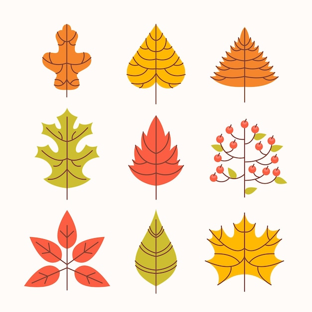 Vector gratuito colección de hojas de otoño planas