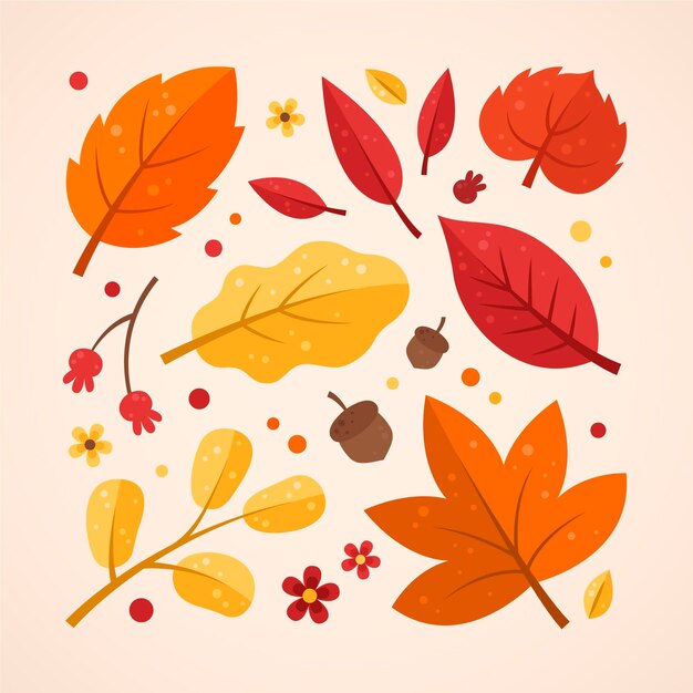 Colección de hojas de otoño planas