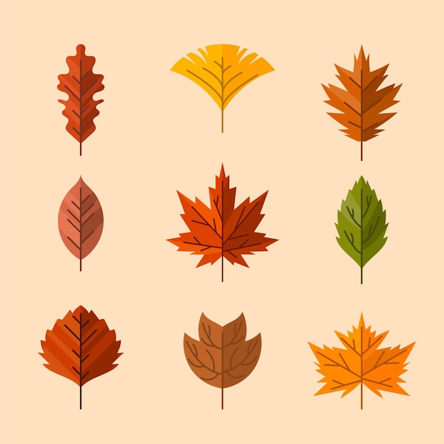 Vector gratuito colección de hojas de otoño planas