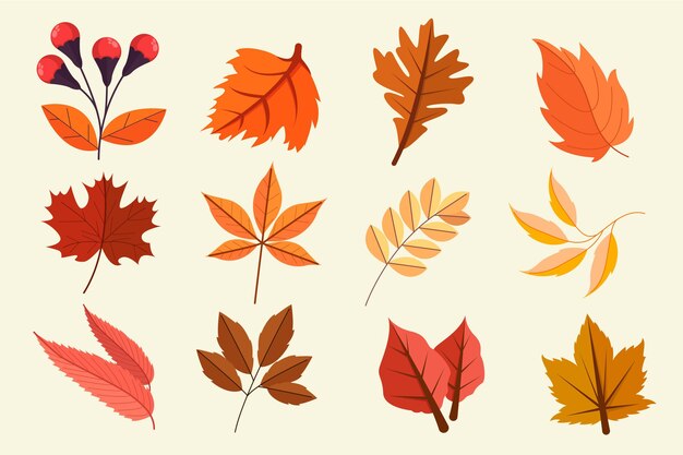Colección de hojas de otoño planas