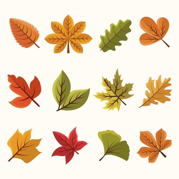 Colección de hojas de otoño planas