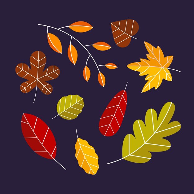 Colección de hojas de otoño planas