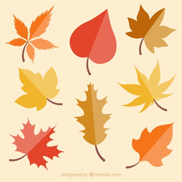 Vector gratuito colección de hojas de otoño