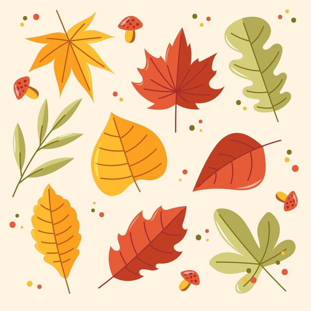 Colección de hojas de otoño