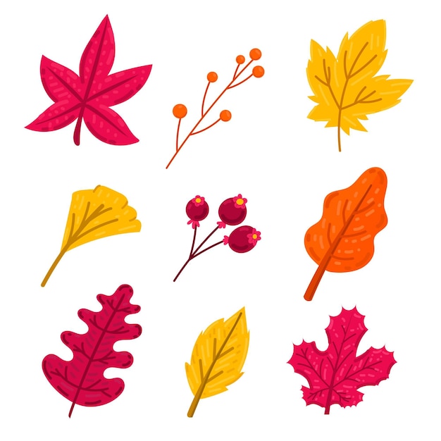 Vector gratuito colección de hojas de otoño