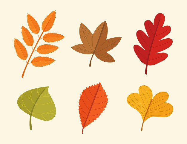 Colección de hojas de otoño