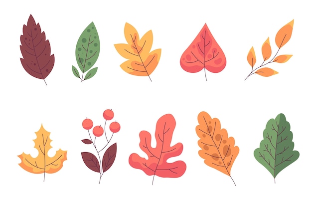 Colección de hojas de otoño