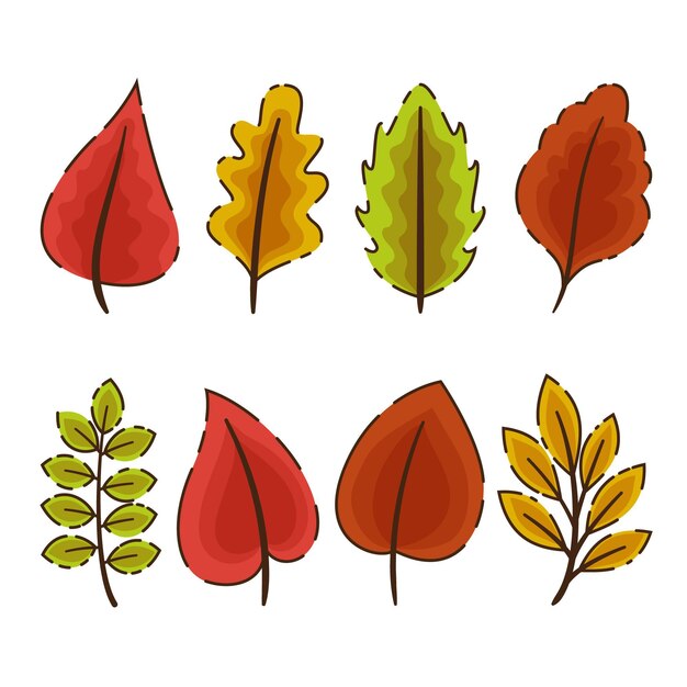 Colección de hojas de otoño
