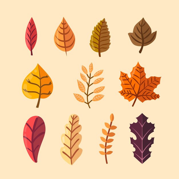 Colección de hojas de otoño