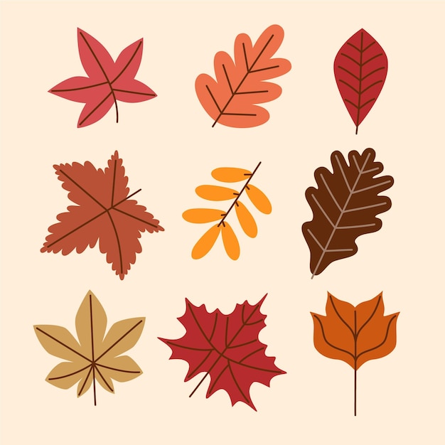 Vector gratuito colección de hojas de otoño