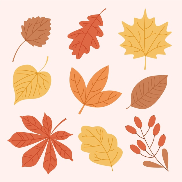 Vector gratuito colección de hojas de otoño