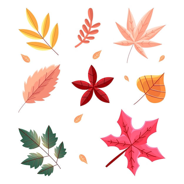 Vector gratuito colección de hojas de otoño