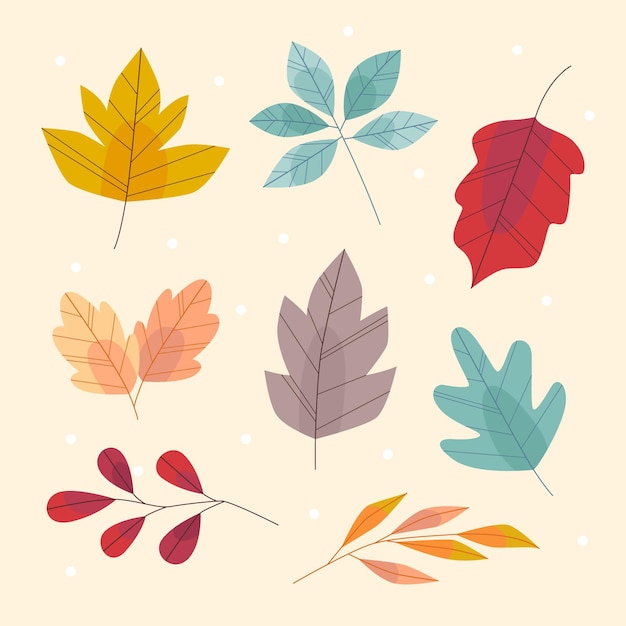 Vector gratuito colección de hojas de otoño