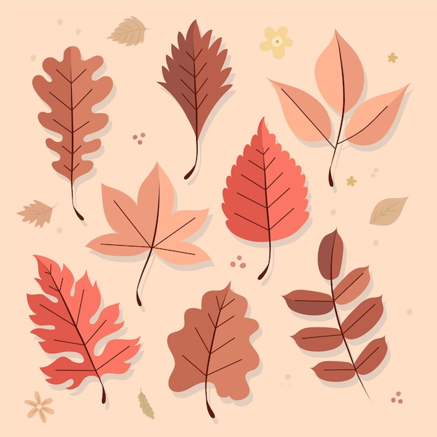 Vector gratuito colección de hojas de otoño