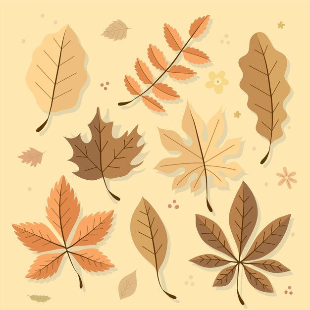 Colección de hojas de otoño