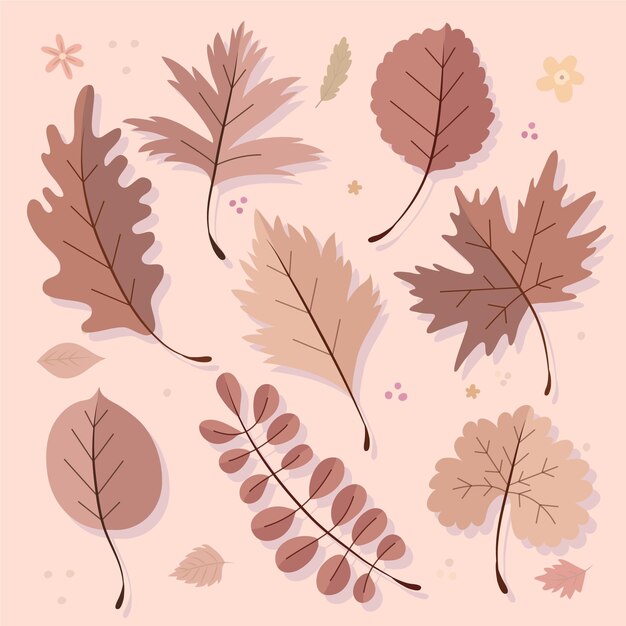 Colección de hojas de otoño