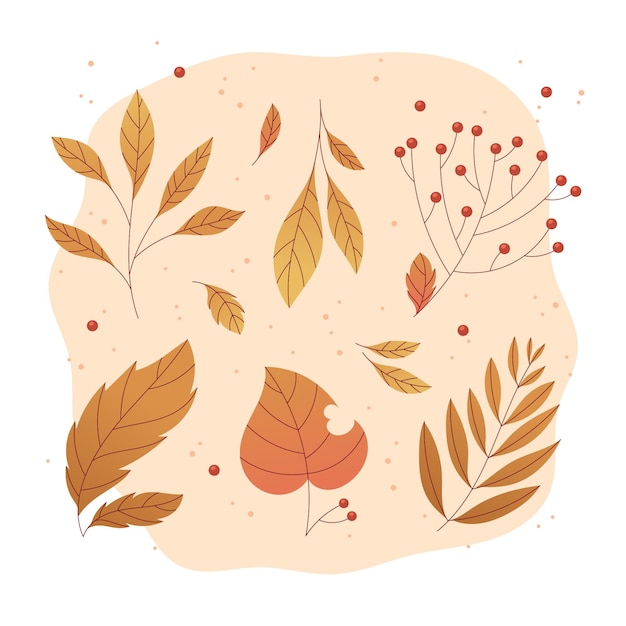 Vector gratuito colección de hojas de otoño