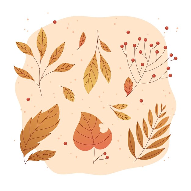 Colección de hojas de otoño