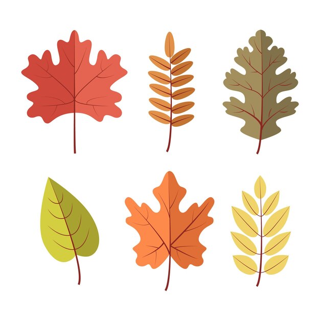 Colección de hojas de otoño