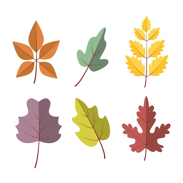 Colección de hojas de otoño