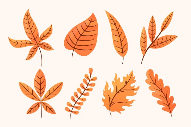Colección de hojas de otoño