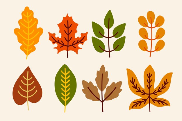 Colección de hojas de otoño