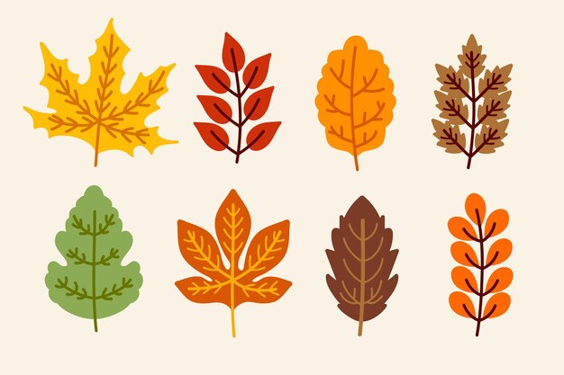 Colección de hojas de otoño