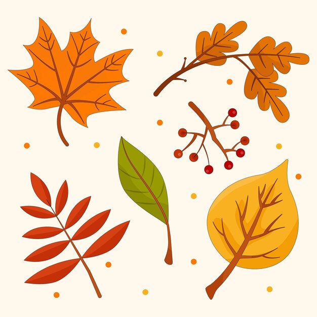 Colección de hojas de otoño