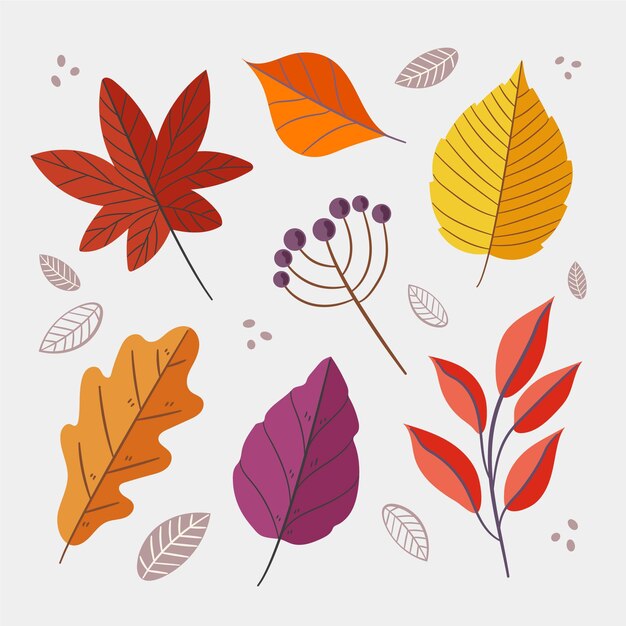 Colección de hojas de otoño