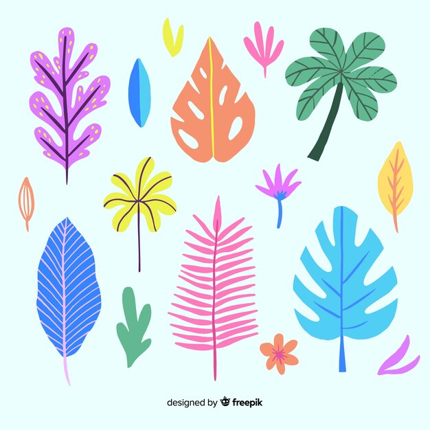 Colección hojas tropicales coloridas dibujadas a mano