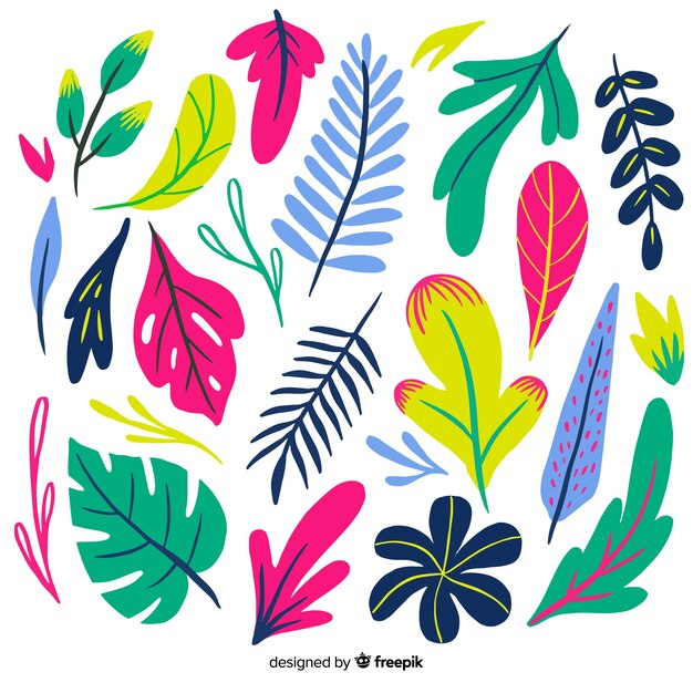 Colección hojas tropicales coloridas dibujadas a mano