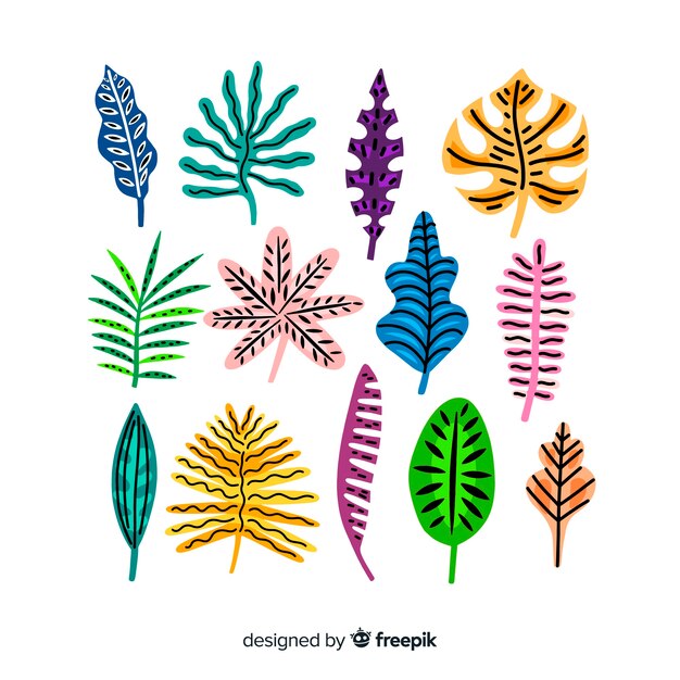 Colección hojas tropicales dibujadas a mano