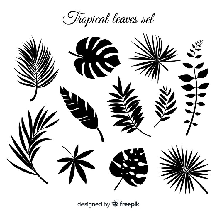Vector gratuito colección de hojas tropicales dibujados a mano