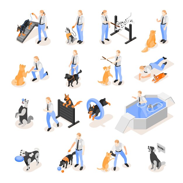 Colección de iconos de la escuela de perros