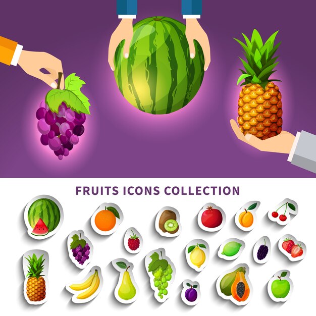 Colección de iconos de frutas