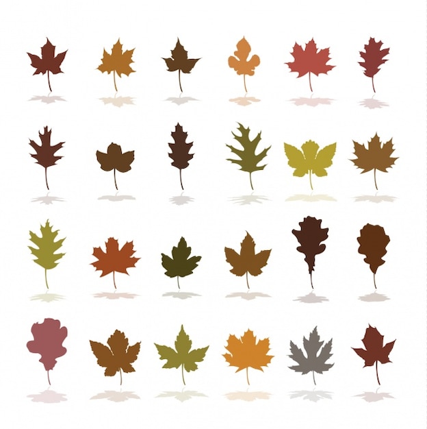 Colección de iconos de hojas