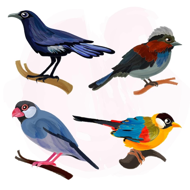 Colección de ilustración de aves acuarela
